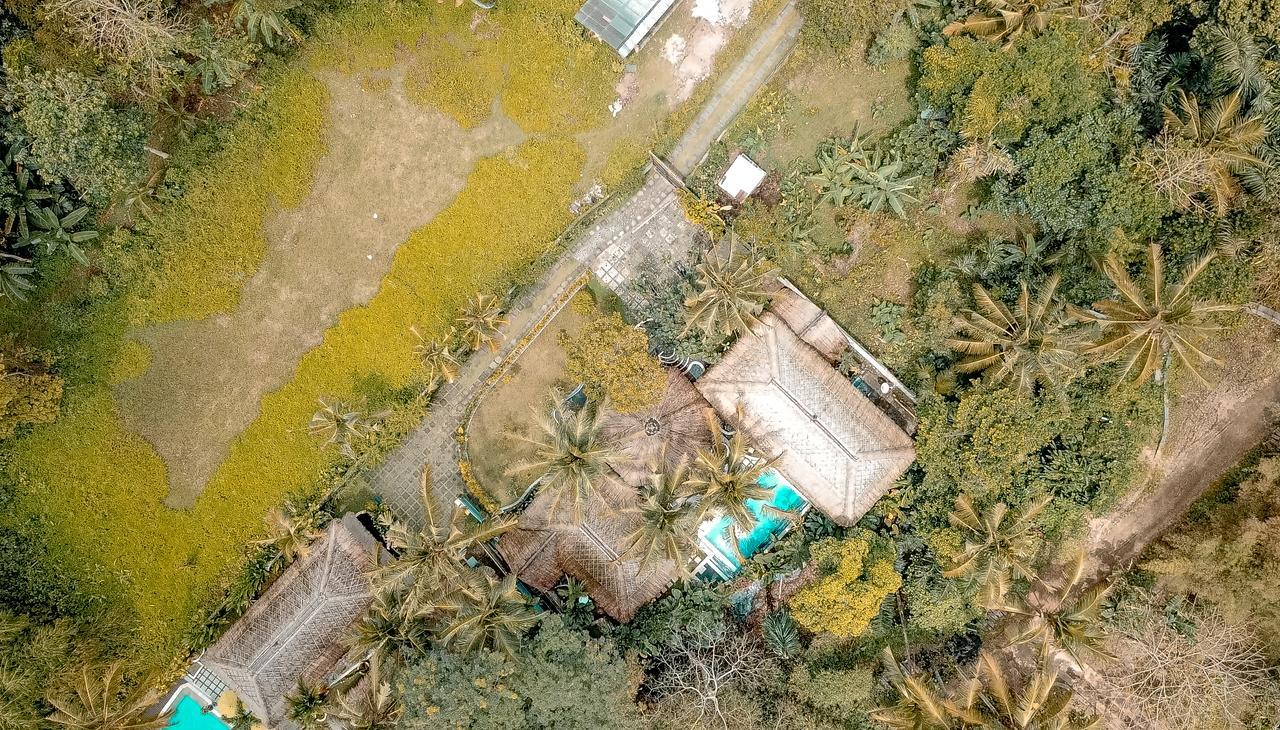 Villa Bali Village Ubud Buitenkant foto